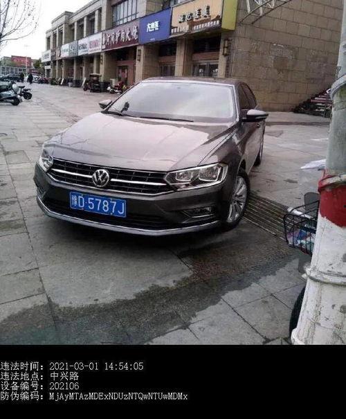 河南都市爆料最新郏县,都市爆料揭示最新发展动态”  第2张