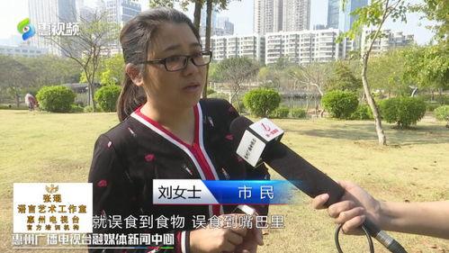 爆料网红记者视频,独家内幕大曝光  第1张